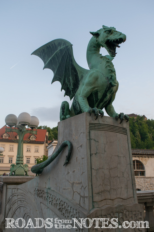 s_DSC_0340