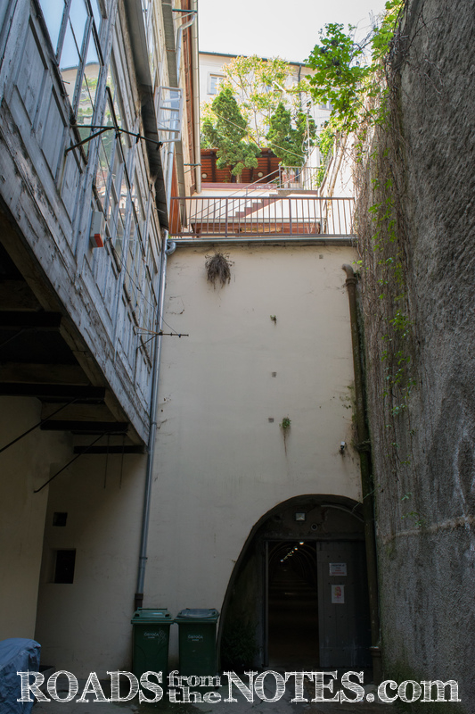 s_DSC_0270
