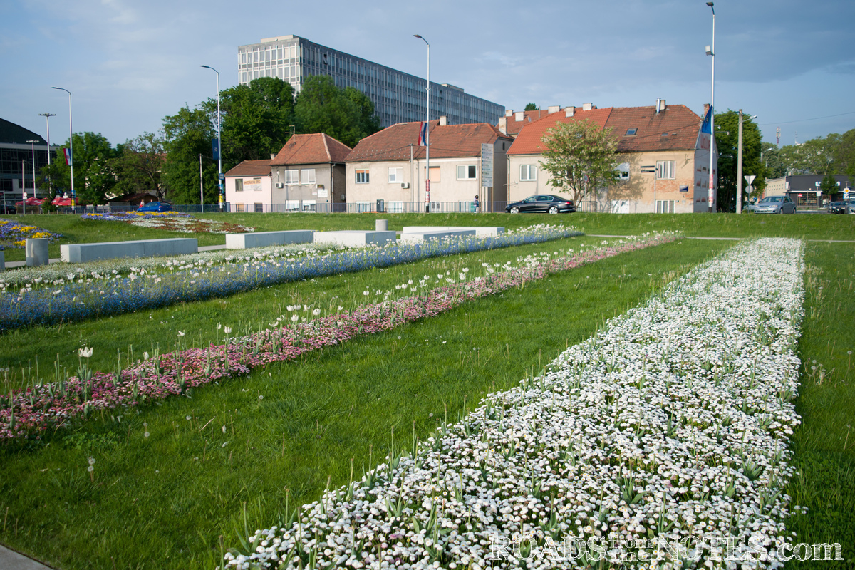 s_DSC_0139