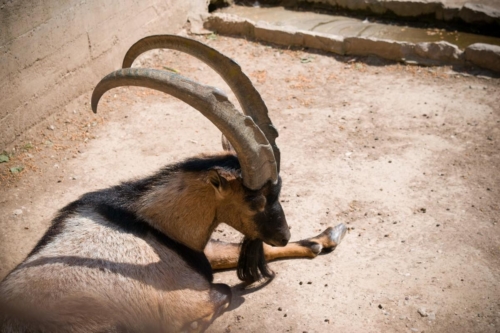 Атина забележителности