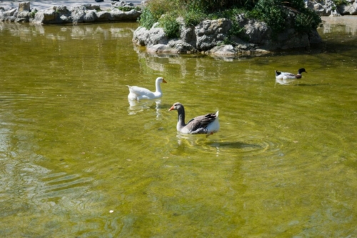 Атина забележителности