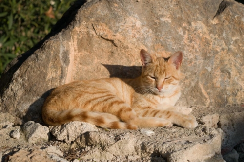 Атина забележителности