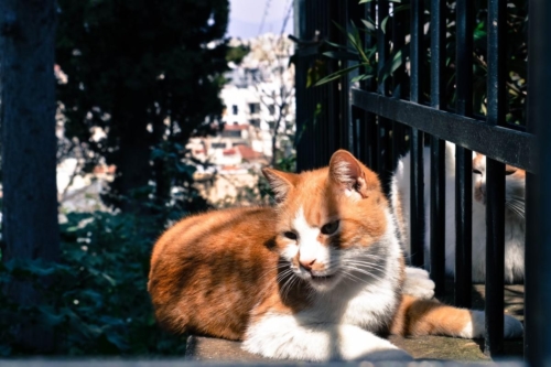 Атина забележителности