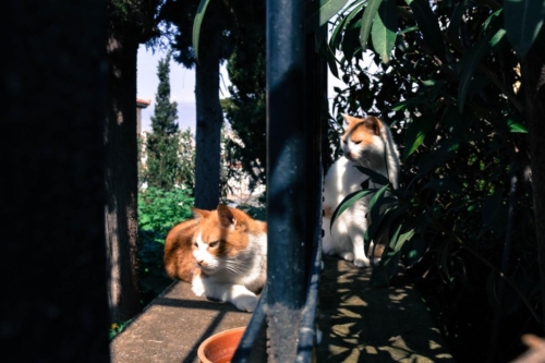 Атина забележителности