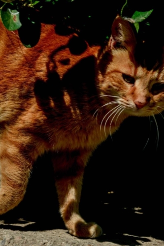 Атина забележителности