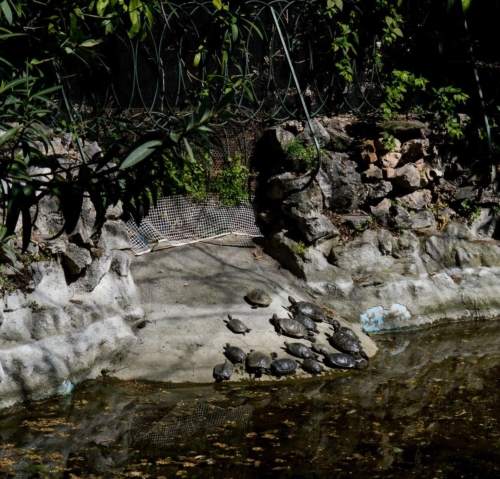 Атина забележителности