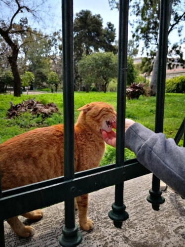 Атина забележителности