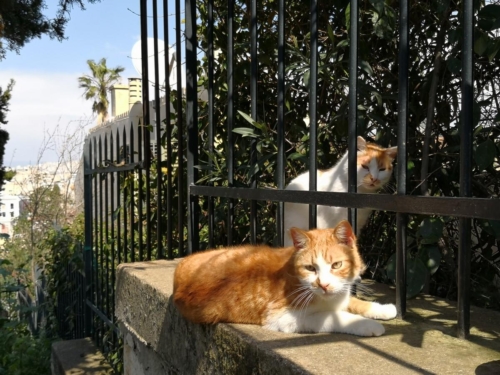 Атина забележителности