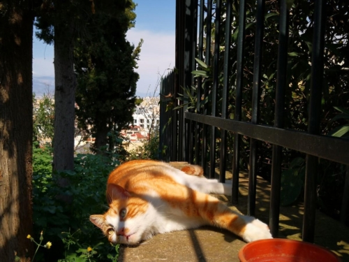 Атина забележителности