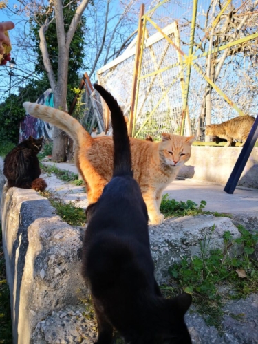 Атина забележителности