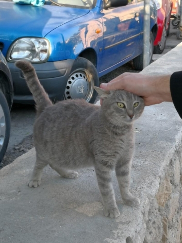 Атина забележителности