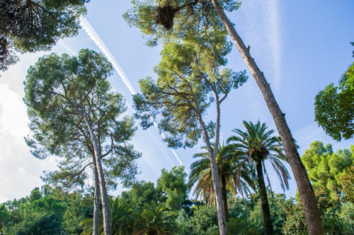 забележителности в Барселона