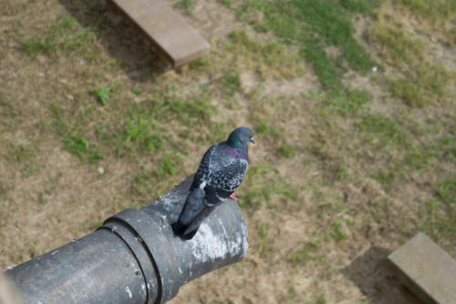 забележителности в Барселона