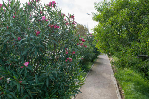 забележителности в Барселона