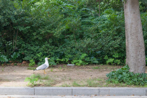 забележителности в Барселона