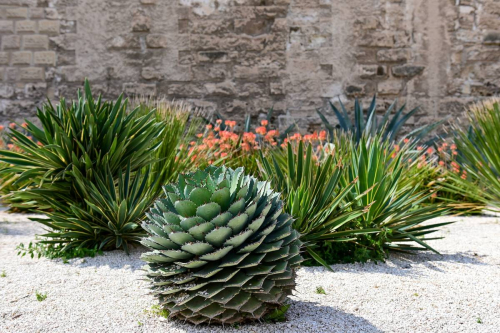 Бари забележителности