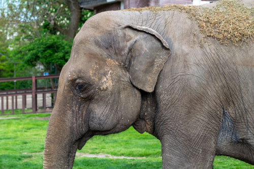 София - Белград с кола