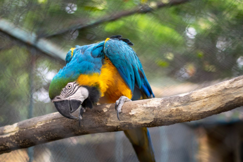 София - Белград с кола