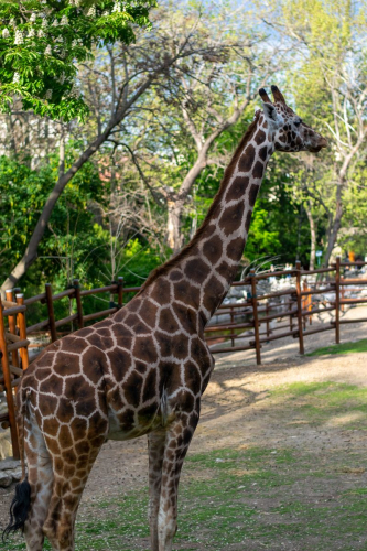 София - Белград с кола