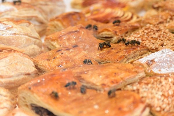 забележителности в Казабланка