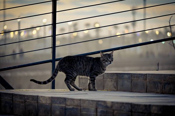 забележителности в Казабланка