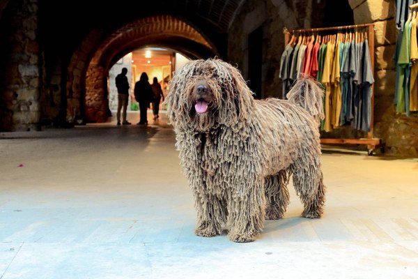 еднодневна екскурзия от Барселона