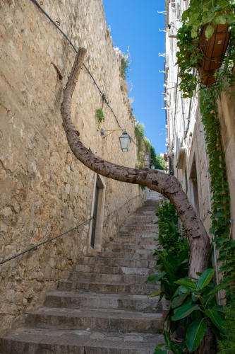 забележителности в Дубровник