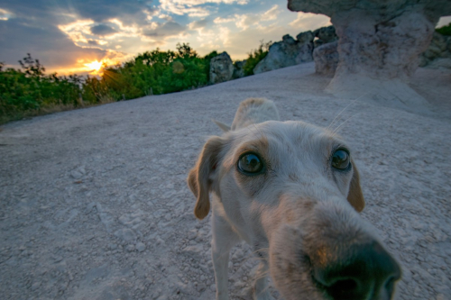Източни Родопи