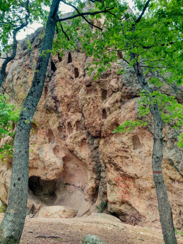 s IMG 20230504 185427