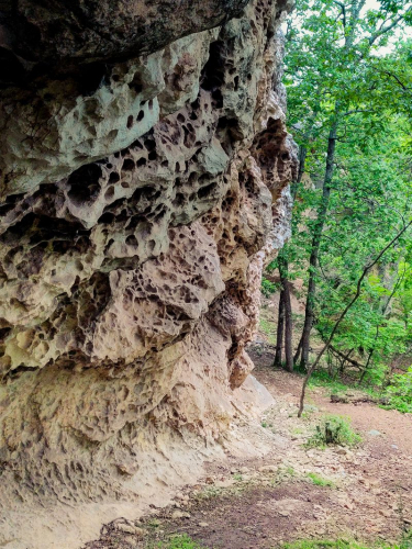 s IMG 20230504 190925