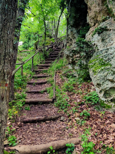 s IMG 20230504 192125