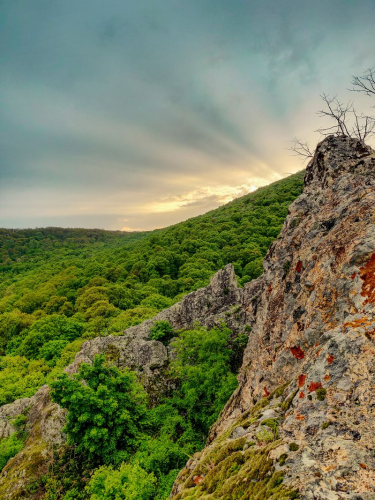 s IMG 20230504 193409