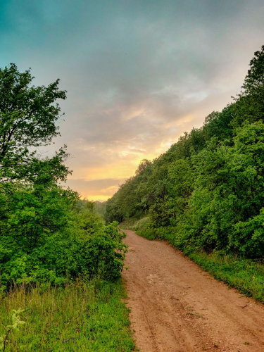 s IMG 20230504 200220