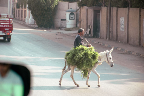 Египет забележителности
