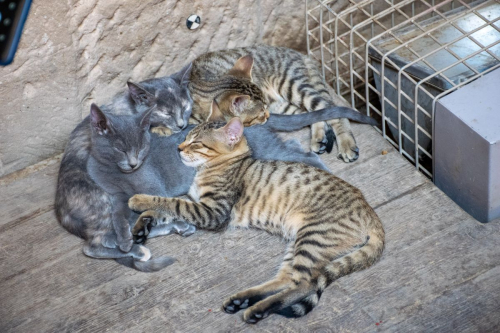 Египет забележителности