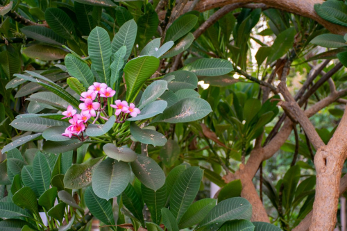 Египет забележителности