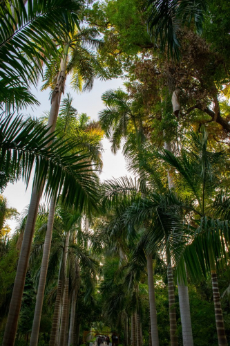 Египет забележителности