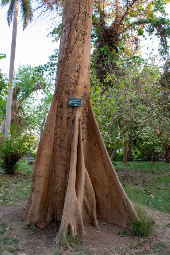 Египет забележителности