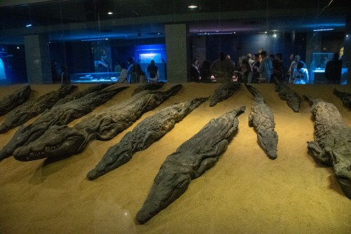 Египет забележителности