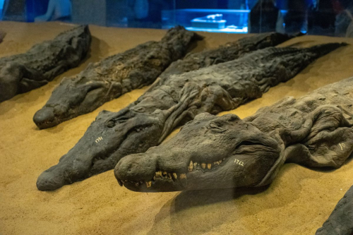 Египет забележителности