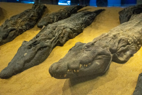 Египет забележителности