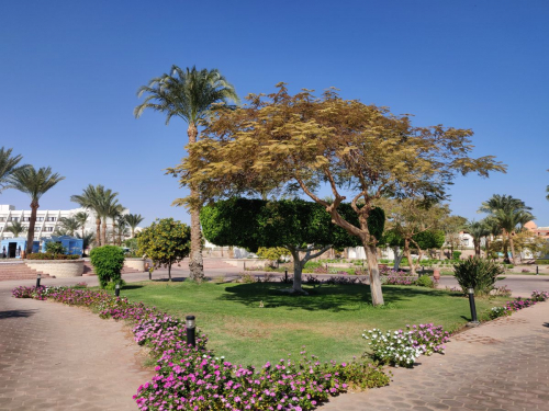 Египет забележителности