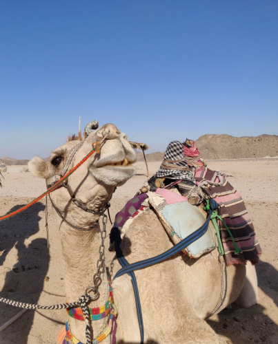 Египет забележителности