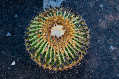 Гран Канария