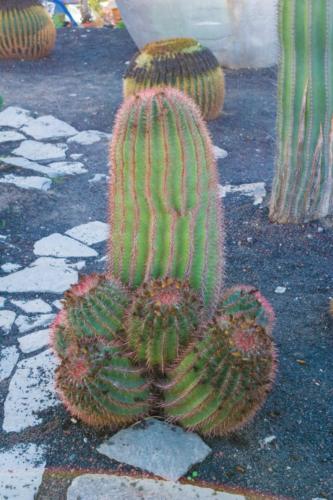 Гран Канария