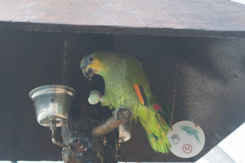 забележителности в Лансароте