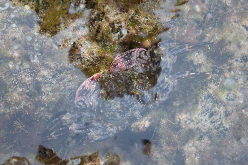 забележителности в Лансароте