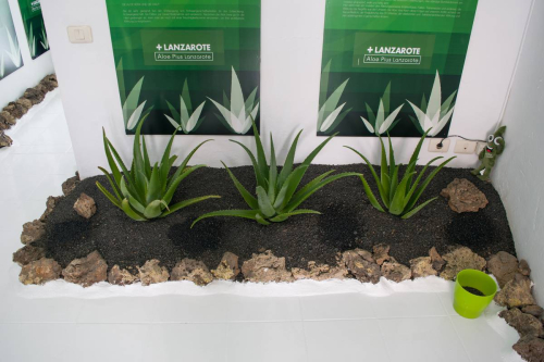 забележителности в Лансароте