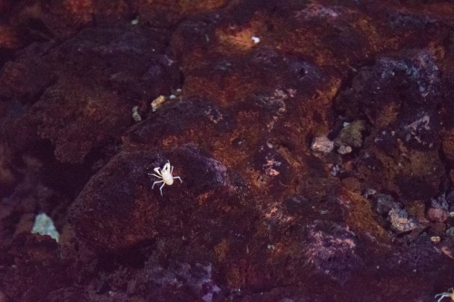 забележителности в Лансароте