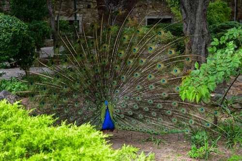 Забележителности в Лисабон